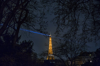 EL ARBRE ET LA TOUR, PARÍS